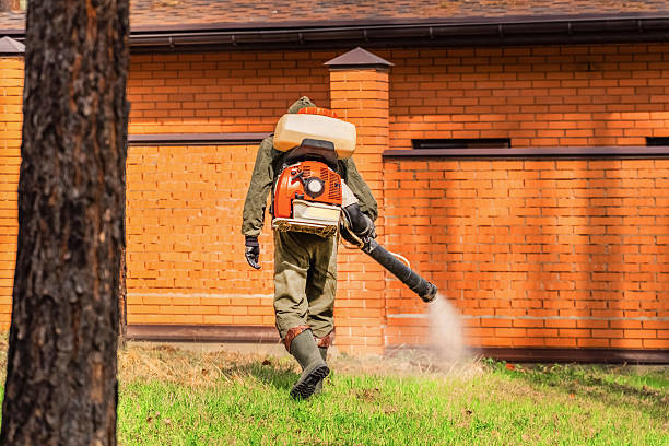 Trusted Emergency Pest Control service in Kiawah Island, SC - Nex Pest Control